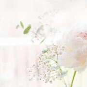 ヒメ日記 2025/11/25 09:54 投稿 寧々 出会い系人妻ネットワーク 春日部〜岩槻編