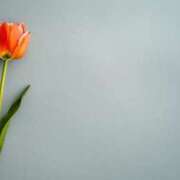 ヒメ日記 2026/01/21 08:45 投稿 寧々 出会い系人妻ネットワーク 春日部〜岩槻編