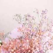 ヒメ日記 2026/02/03 08:30 投稿 寧々 出会い系人妻ネットワーク 春日部〜岩槻編