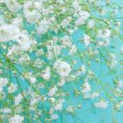 ヒメ日記 2026/02/04 08:30 投稿 寧々 出会い系人妻ネットワーク 春日部〜岩槻編