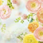 ヒメ日記 2026/02/04 11:15 投稿 寧々 出会い系人妻ネットワーク 春日部〜岩槻編