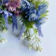 ヒメ日記 2026/02/05 08:08 投稿 寧々 出会い系人妻ネットワーク 春日部〜岩槻編