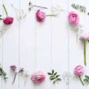 ヒメ日記 2026/02/06 08:30 投稿 寧々 出会い系人妻ネットワーク 春日部〜岩槻編