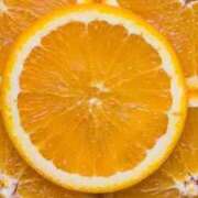 ヒメ日記 2026/02/13 08:30 投稿 寧々 出会い系人妻ネットワーク 春日部〜岩槻編