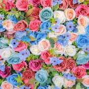 ヒメ日記 2026/02/18 08:43 投稿 寧々 出会い系人妻ネットワーク 春日部〜岩槻編