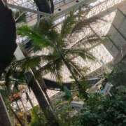 ヒメ日記 2026/02/21 18:56 投稿 寧々 出会い系人妻ネットワーク 春日部〜岩槻編