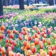 寧々 延長110分ありがとう 出会い系人妻ネットワーク 春日部〜岩槻編