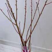 ヒメ日記 2026/03/03 18:03 投稿 寧々 出会い系人妻ネットワーク 春日部〜岩槻編