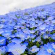 ヒメ日記 2026/04/20 19:48 投稿 寧々 出会い系人妻ネットワーク 春日部〜岩槻編
