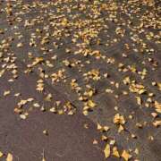 ヒメ日記 2025/12/10 14:32 投稿 鴛之りお ニューハーフヘルスLIBE横浜店