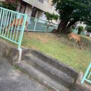 ヒメ日記 2026/08/14 18:29 投稿 鴛之りお ニューハーフヘルスLIBE横浜店