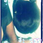 ヒメ日記 2025/02/03 22:16 投稿 てる しゅうかつ倶楽部