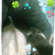 ヒメ日記 2025/02/06 09:04 投稿 てる しゅうかつ倶楽部