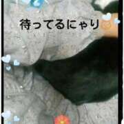 ヒメ日記 2025/02/07 12:34 投稿 てる しゅうかつ倶楽部