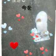 ヒメ日記 2025/02/12 23:46 投稿 てる しゅうかつ倶楽部