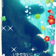 ヒメ日記 2025/02/14 11:54 投稿 てる しゅうかつ倶楽部