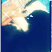 ヒメ日記 2025/02/15 12:40 投稿 てる しゅうかつ倶楽部