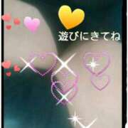 ヒメ日記 2025/02/16 12:06 投稿 てる しゅうかつ倶楽部