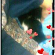 ヒメ日記 2025/02/18 21:22 投稿 てる しゅうかつ倶楽部