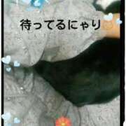 ヒメ日記 2025/02/19 11:14 投稿 てる しゅうかつ倶楽部