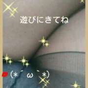 ヒメ日記 2025/02/20 09:10 投稿 てる しゅうかつ倶楽部