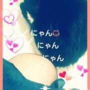 ヒメ日記 2025/02/22 10:28 投稿 てる しゅうかつ倶楽部