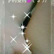 ヒメ日記 2025/02/23 14:48 投稿 てる しゅうかつ倶楽部