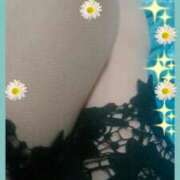 ヒメ日記 2025/02/24 12:36 投稿 てる しゅうかつ倶楽部