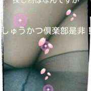 ヒメ日記 2025/02/25 14:56 投稿 てる しゅうかつ倶楽部