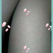 ヒメ日記 2025/03/05 12:44 投稿 てる しゅうかつ倶楽部