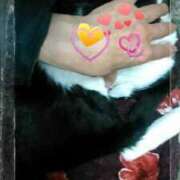 ヒメ日記 2025/03/09 10:39 投稿 てる しゅうかつ倶楽部