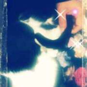 ヒメ日記 2025/03/11 13:10 投稿 てる しゅうかつ倶楽部