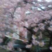 ヒメ日記 2025/03/11 23:14 投稿 てる しゅうかつ倶楽部