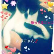 ヒメ日記 2025/03/13 11:12 投稿 てる しゅうかつ倶楽部