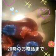 ヒメ日記 2025/03/13 16:35 投稿 てる しゅうかつ倶楽部