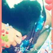 ヒメ日記 2025/03/15 08:51 投稿 てる しゅうかつ倶楽部