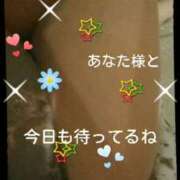 ヒメ日記 2025/03/20 12:45 投稿 てる しゅうかつ倶楽部