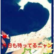 ヒメ日記 2025/03/21 16:27 投稿 てる しゅうかつ倶楽部