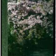 ヒメ日記 2025/03/24 22:35 投稿 てる しゅうかつ倶楽部