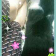 ヒメ日記 2025/03/25 10:53 投稿 てる しゅうかつ倶楽部