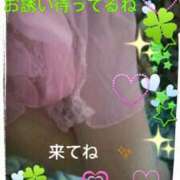 ヒメ日記 2025/03/27 10:33 投稿 てる しゅうかつ倶楽部