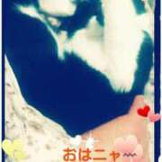 ヒメ日記 2025/03/29 10:16 投稿 てる しゅうかつ倶楽部