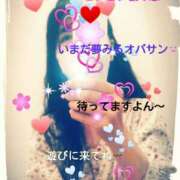 ヒメ日記 2025/03/29 14:42 投稿 てる しゅうかつ倶楽部