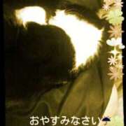 ヒメ日記 2025/04/02 00:41 投稿 てる しゅうかつ倶楽部