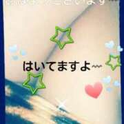 ヒメ日記 2025/04/03 09:46 投稿 てる しゅうかつ倶楽部