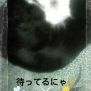 ヒメ日記 2025/04/04 22:08 投稿 てる しゅうかつ倶楽部