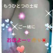 ヒメ日記 2025/04/05 10:25 投稿 てる しゅうかつ倶楽部