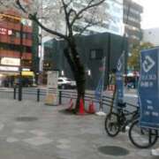 ヒメ日記 2025/04/05 13:18 投稿 てる しゅうかつ倶楽部