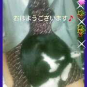 ヒメ日記 2025/04/08 10:04 投稿 てる しゅうかつ倶楽部