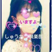 ヒメ日記 2025/04/08 16:01 投稿 てる しゅうかつ倶楽部